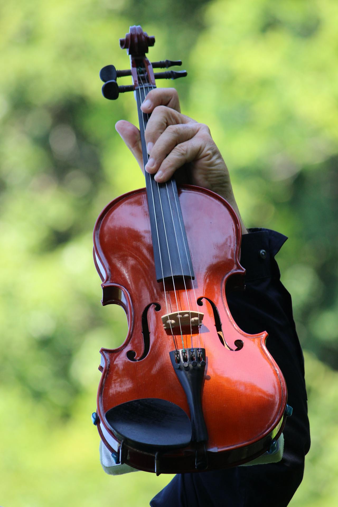 violin vertical